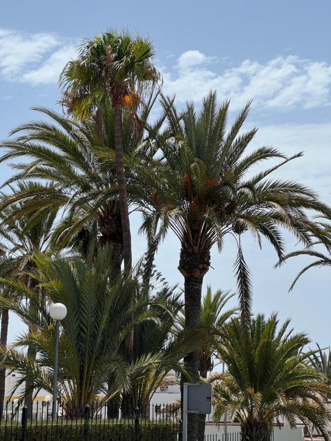 San Agustin Apartments , Close To The Beach, With Pool! San Bartolomé Exteriör bild